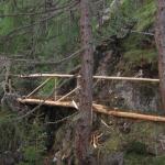 Manutenzione Sentieri